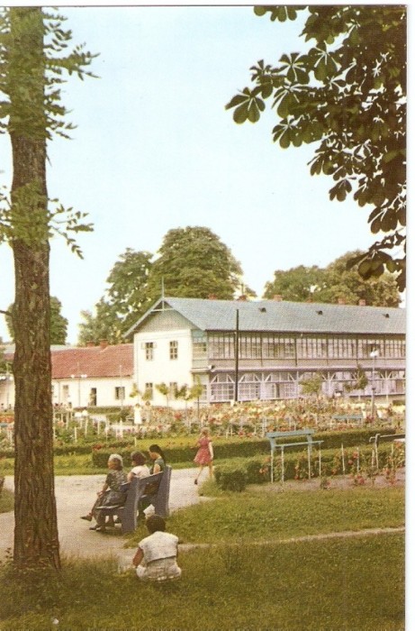 AMP4347 Oradea, bai, parc, RPR