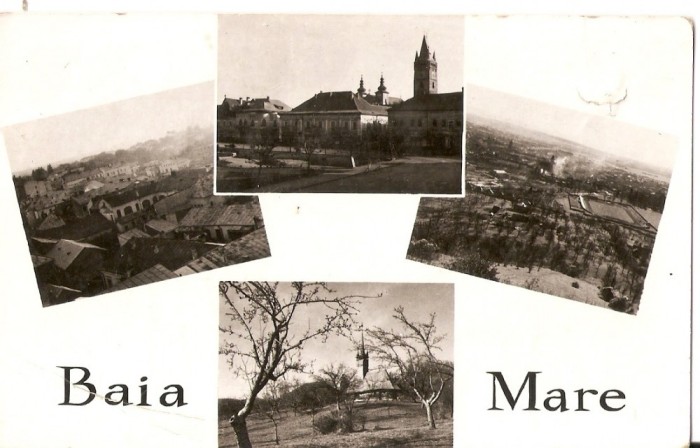 AMP44 Baia Mare, RPR