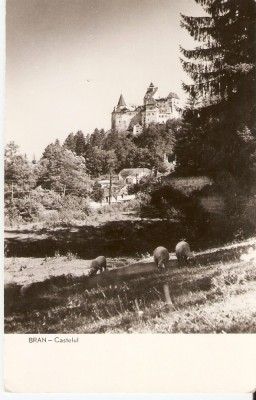 AMP22 Bran, castel, RPR foto