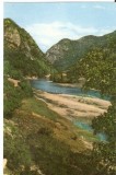 AMP4343 Valea Oltului, RPR