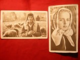 2 Ilustrate -Muzeul Taranului Roman - Tarani , Foto Dan Dinescu