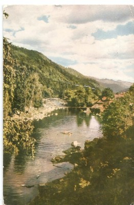 AMP4317 Valea Tarcaului, peisaj, RPR foto