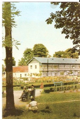 AMP4348 Oradea, bai, parc, RPR foto
