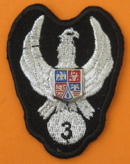 insigna tehnic aviatie pentru costumul de zbor (combinezon),clasa 3 foto