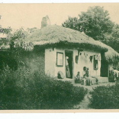 389 - POGOANELE, Buzau, gypsies house - old postcard, CENSOR - used - 1918