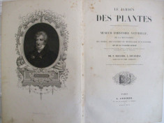 M. P. Bernard L. Couailhac Le jardin des plantes Paris 1842 125 gravuri foto