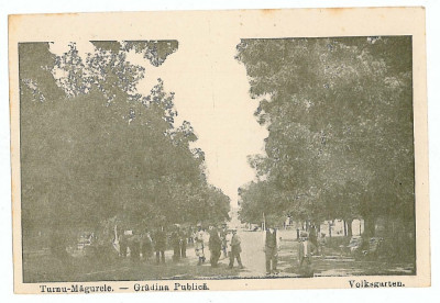 1826 - TURNU MAGURELE, Teleorman, Public Garden - old postcard - unused foto