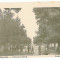 1826 - TURNU MAGURELE, Teleorman, Public Garden - old postcard - unused