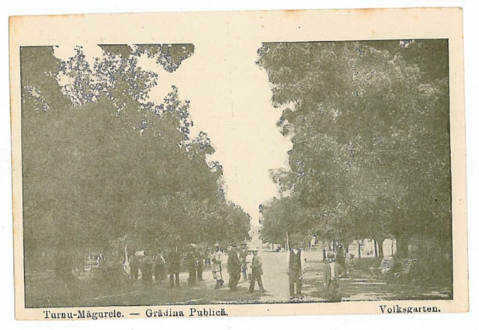 1826 - TURNU MAGURELE, Teleorman, Public Garden - old postcard - unused