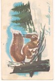 #carte postala(marca fixa)-FELICITARE-La multi ani!