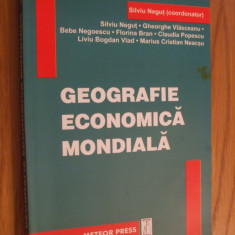 GEOGRAFIE ECONOMICA MONDIALA - Silviu Negrut ( coordonator:) - 2003, 318 p.