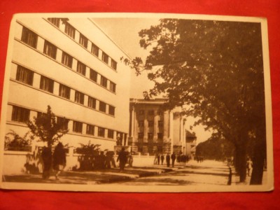Ilustrata - Timisoara -Bdul 23 August , anii &amp;#039;50 foto
