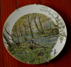 Farfurie deosebita portelan fin de colectie - The Woodlands in April by Peter Banett - Royal Worcester Porcelain - Made in England 1979 !!! foto