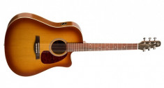 Chitara electro-acustica Godin Seagull Entourage Rustic CW QI foto