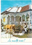 #carte postala(marca fixa)-FELICITARE-La multi ani!