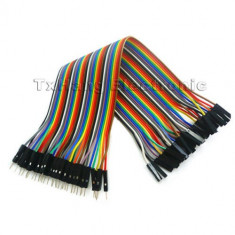 40PCS Dupont wire jumpercables 20cm 2.54MM male to female 1P-1P For Arduino (FS00288) foto