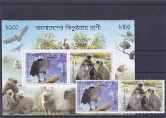 Fauna ,pasari ,maimute ,Banglades. foto