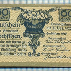 1884 BANCNOTA NOTGELD - AUSTRIA - 60 HELLER - anul 1920 -SERIA FARA -starea care se vede