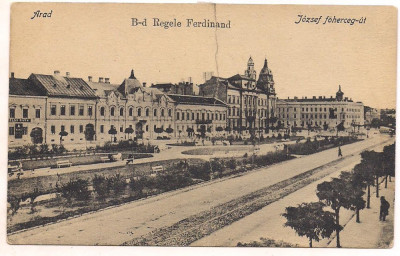 carte postala(ilustrata)-ARAD-B-dul Regele Ferdinand foto