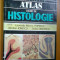 ATLAS COLOR DE HISTOLOGIE - LAURENTIU MIRCEA POPESCU, NICOLAE IONESCU, DOINA ONICESCU