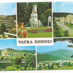 #carte postala(ilustrata)-VATRA DORNEI-Colaj