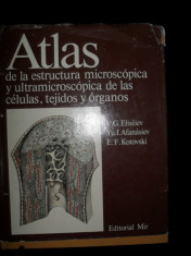 ATLAS DE LA ESTRUCTURA MICROSCOPICA Y ULTRAMICROSCOPICA DE LAS CELULAS foto