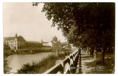 1671 - ORADEA, Synagogue, bridge - old postcard, real PHOTO - unused foto