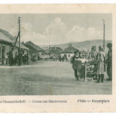 2208 - POIENILE de sub MUNTE RUSPOLYANA, Maramures market - old postcard unused