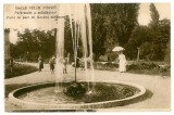 1538 - BAILE FELIX, Bihor, Park and Fountain - old postcard - unused, Necirculata, Printata