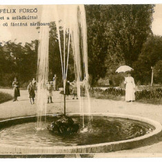 1538 - BAILE FELIX, Bihor, Park and Fountain - old postcard - unused
