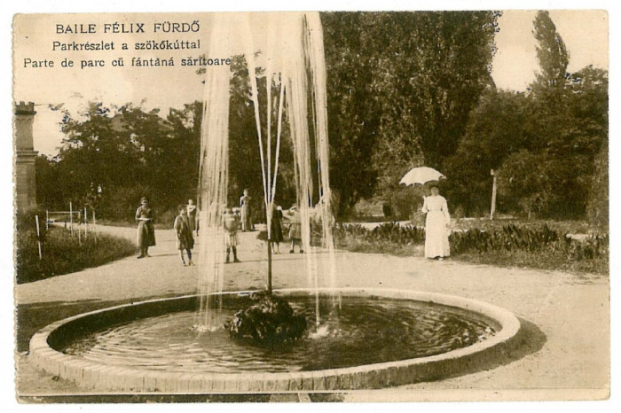 1538 - BAILE FELIX, Bihor, Park and Fountain - old postcard - unused