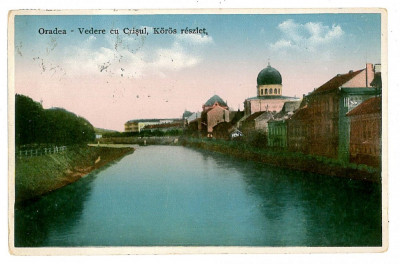 1677 - ORADEA, Synagogue and river Cris - old postcard - used - 1936 foto