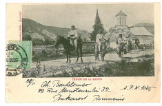 1321 - Gorj, BAIA de FIER, Ethnics, horses and donkeys - old postcard - used - 1903 foto