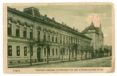 1356 - LUGOJ, Timis, regular school girls - old postcard - unused foto