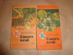 Camara iernii ( 2 volume)-Natalia Tautu Stanescu foto