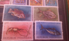 Indonesia fauna marina,pesti exotici MNH foto