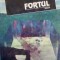 Fortul - de Tudor Dumitru Savu
