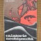 Radu Theodoru - Calatorie neobisnuita