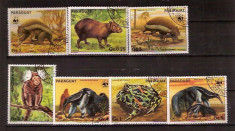 Paraguay , stampilate - animale salbatice , 7 valori , P 75 foto
