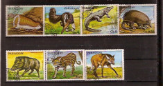 Paraguay , stampilate - animale salbatice , 7 valori , P 73 foto