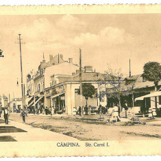 779 - CAMPINA, Prahova, street Carol - old postcard - unused