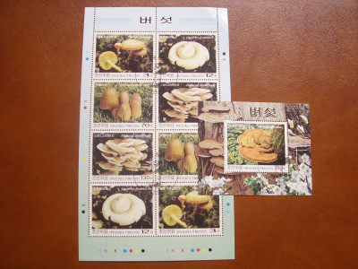 Coreea de Nord 2003 ciuperci MI 4697-4700 ( kleib.) + bl.560 stamp. foto