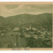 725 - RADNA, Arad, Romania - old postcard - unused