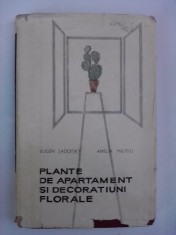 Plante de apartament si decoratiuni florale - Eugen Sadofsky / C33P foto