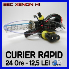 BEC BECURI XENON METALIC - H1 35W / 55W - 3000K, 4300K, 5000K, 6000K, 8000K - CALITATE PREMIUM foto