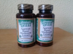 Agaricus Blazei, ciuperca lui Dumnezeu, 500 mg, 90 capsule, produs SUA! foto