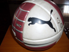 Minge fotbal puma rapid foto