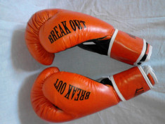 Manusi kickbox box piele 10 oz foto