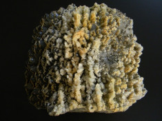Specimen minerale - BARITINA foto