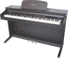 Pian Electronic Delson Allegro 8860 foto